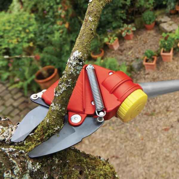 Tree Cutter RR 200 Dual Cut 2-3.5m